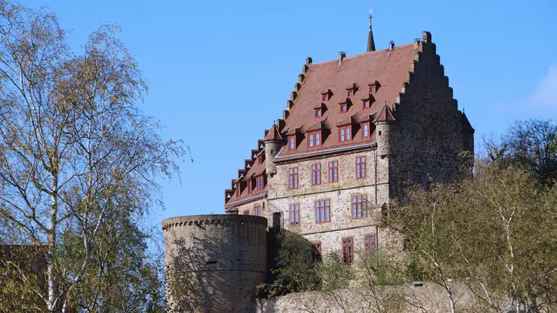 Eine historische Burg mit Turm.