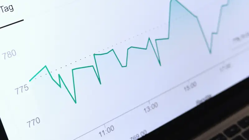 Eine Statistik-Kurve auf einem Laptop-Bildschirm.