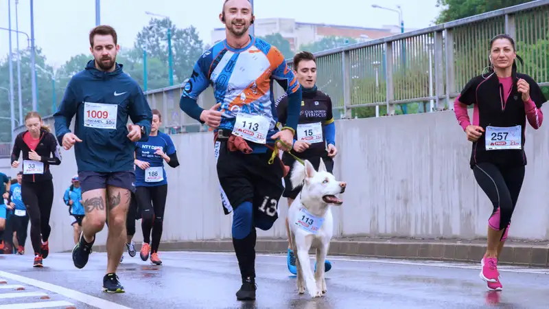Eine Gruppe verschiedener Freizeit-Sportler*innen bei einem Lauf durch die Stadt