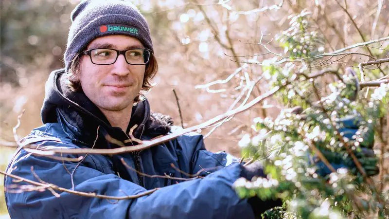 Ein Mann beschneidet eine Hecke oder Baum