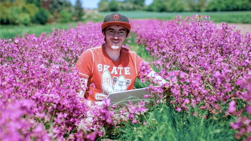 Eine Person in einem Feld voller violetter Blumen