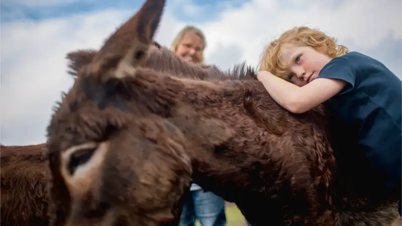 Ein Kind schmiegt sich an den Hals eines Esels
