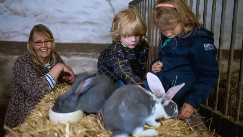 Zwei Kinder und eine Frau in einem Stall mit zwei Kaninchen.