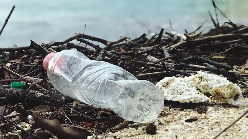 Eine am Strand liegen gelassene Plastikflasche und weiterer Müll.