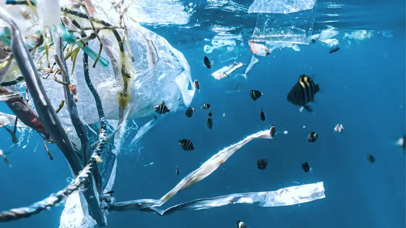 Plastikmüll im Meer
