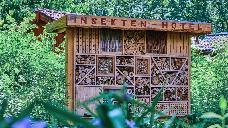 Ein Insektenhotel in einer Hecke.