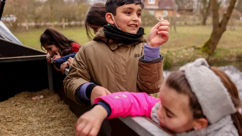 Mehrere Kinder an einem Futtertrog auf einem Bauernhof