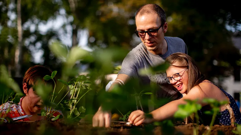 Drei Personen im Freien bei der Pflege von Pflanzen