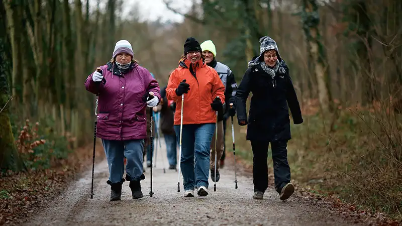 Eine Gruppe von Menschen macht Nordic Walking auf einem Waldweg, alle tragen Winterkleidung und gehen mit Stöcken.
