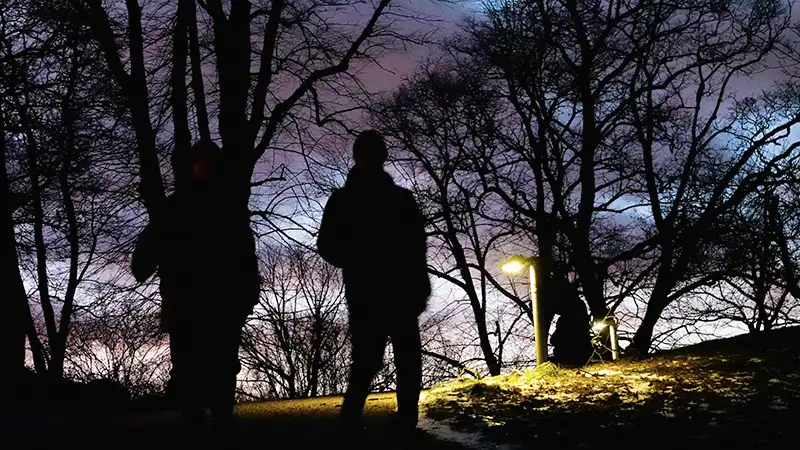 Silhouetten zweier Menschen in einem Park bei  Dämmerung, umgeben von Bäumen mit einem dramatischen, farbigen Himmel im Hintergrund.