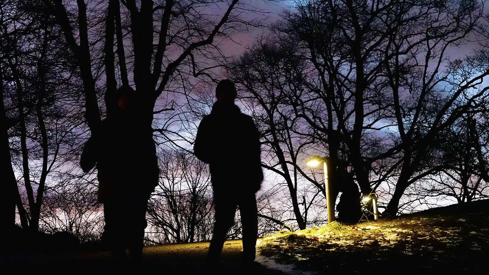 Silhouetten zweier Menschen in einem Park bei Dämmerung, umgeben von Bäumen mit einem dramatischen, farbigen Himmel im Hintergrund.